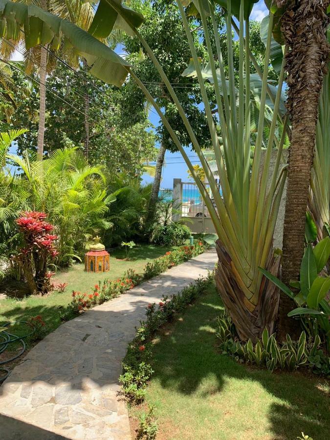 Beach Hotel Casa Nina Las Terrenas Zewnętrze zdjęcie