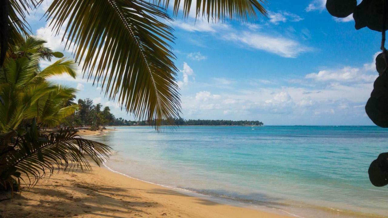 Beach Hotel Casa Nina Las Terrenas Zewnętrze zdjęcie