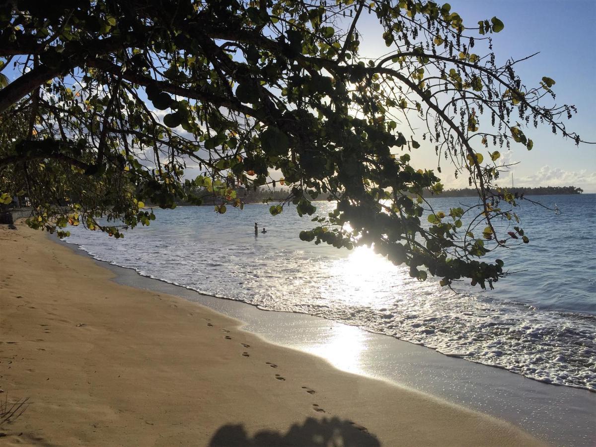 Beach Hotel Casa Nina Las Terrenas Zewnętrze zdjęcie